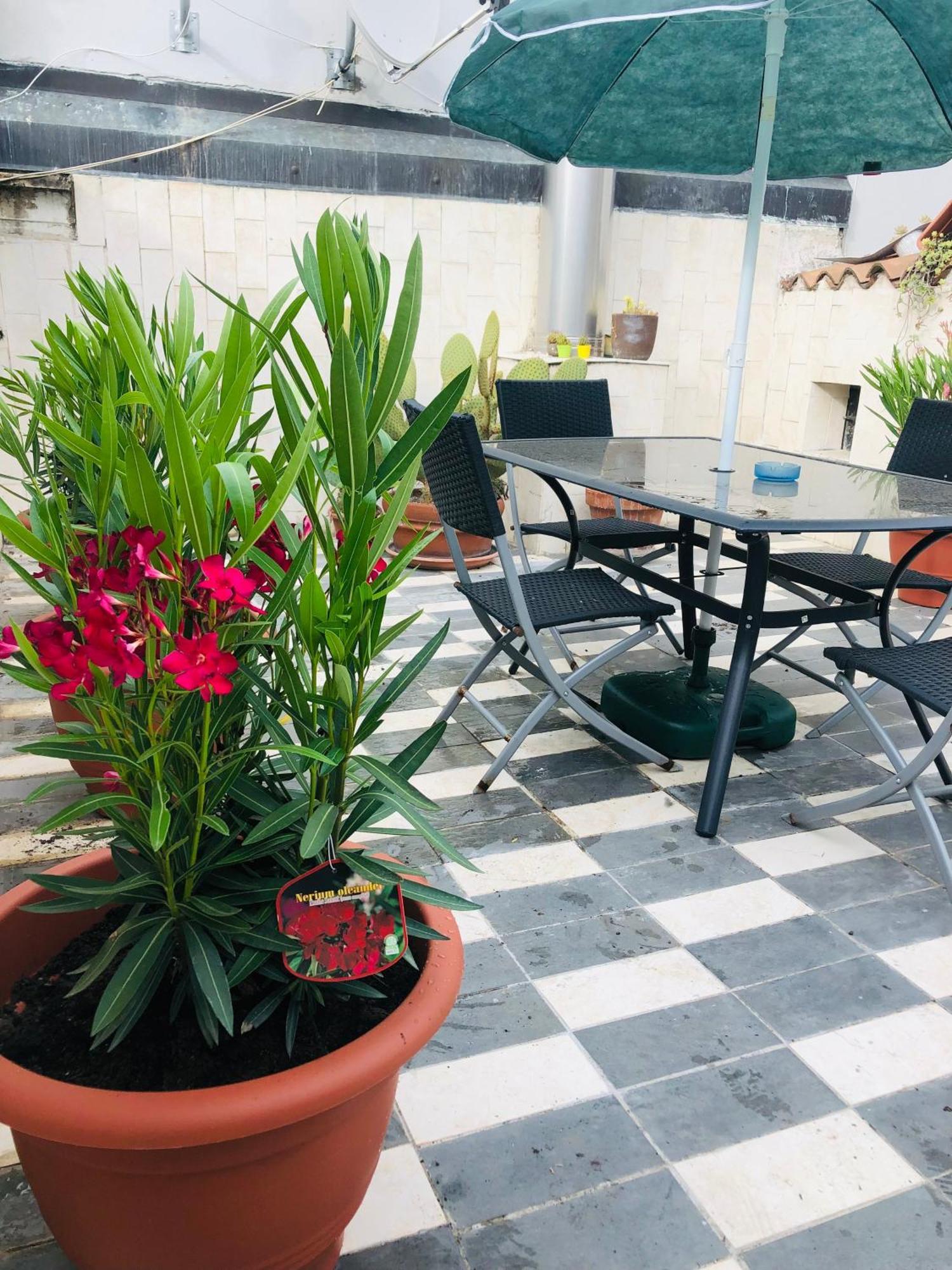 La Terrazza Di Aida Apartment Verona Luaran gambar